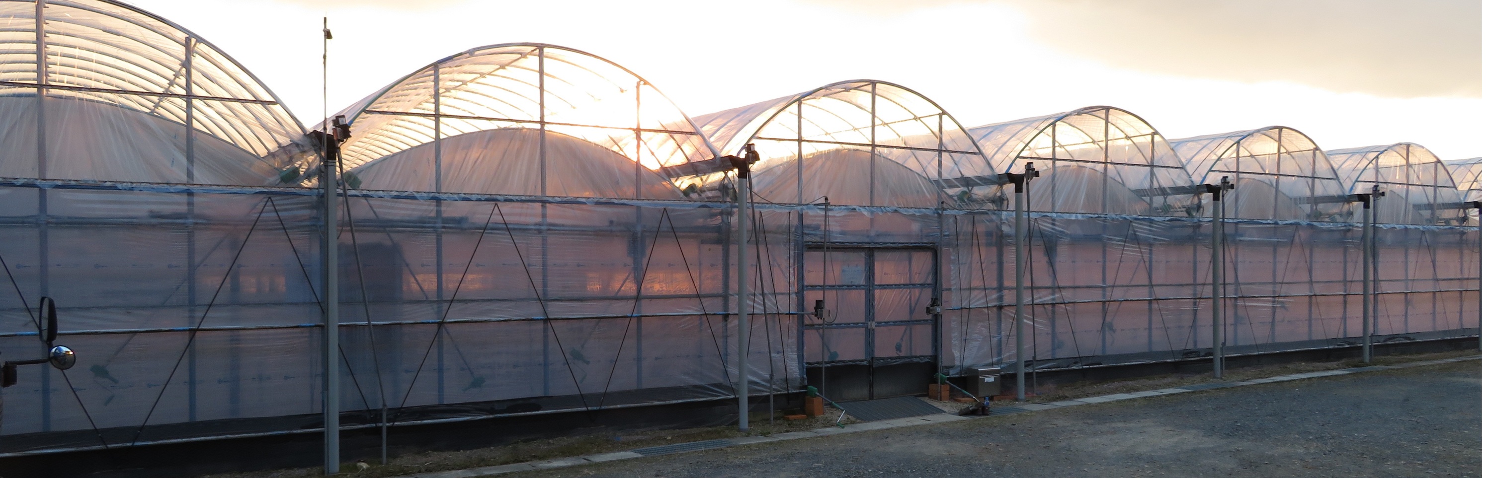 三輪果樹園　葡萄ハウス