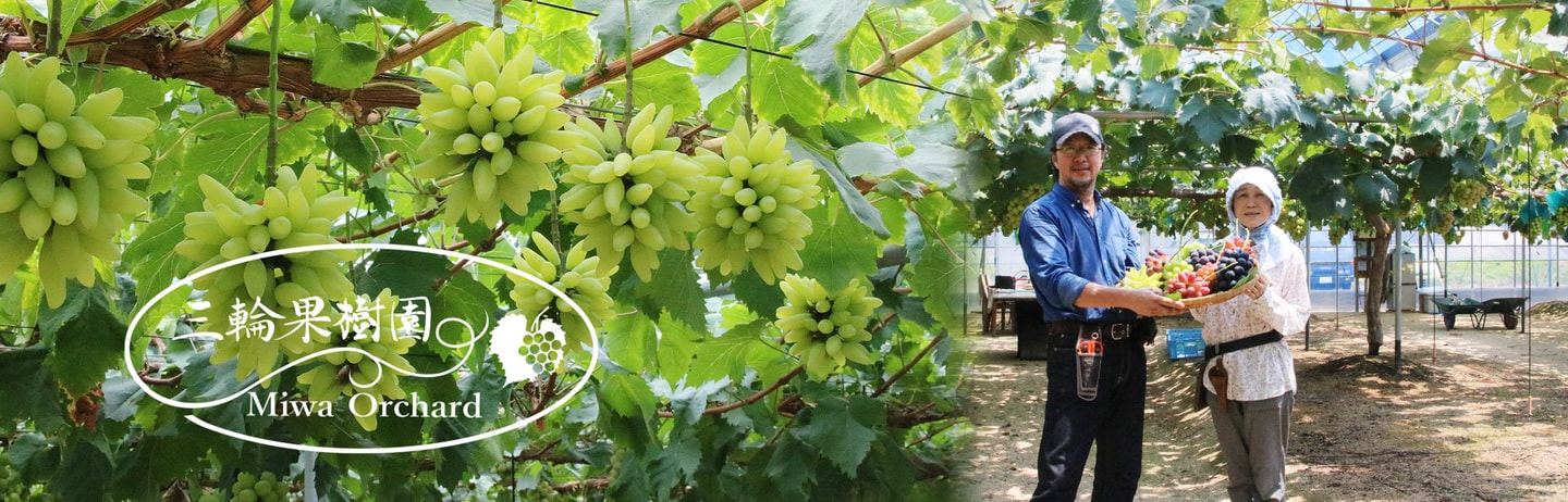 三輪果樹園の葡萄と夫婦