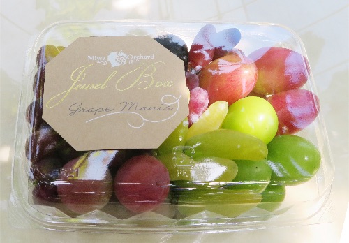 粒葡萄の詰め合わせ