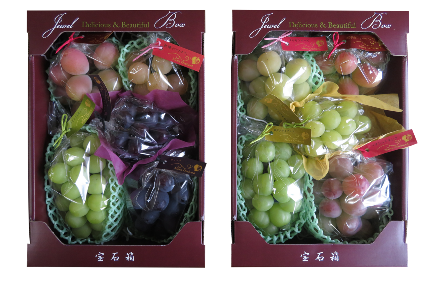 4種詰め合わせセット